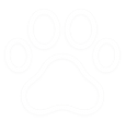 animals icon
