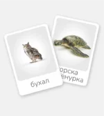 Моите първи думи – комплект от 2 части - Image 2