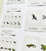 Моите първи думи – комплект от 2 части - Image 4